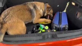 Süpürgeye zulalanmış uyuşturucu ele geçirildi