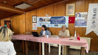 SÜRKADdan sokak hayvanları mevzuatı ve uygulamaları raporu