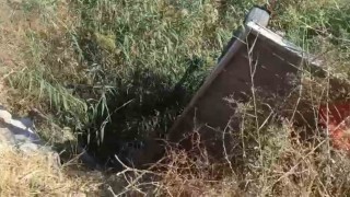 Tahliye kanalına düşen at kurtarıldı