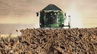 Tarım-ÜFE Ağustos 2025 Verileri Açıklandı