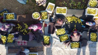 Tarım-ÜFE yıllık yüzde 41,55 arttı