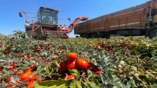 Tarımda plansızlık, üreticiyi zora sokuyor