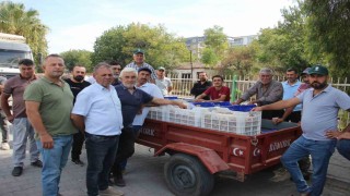 TARİŞ alımları erken kapattı, üretici tüccara tepki gösterdi