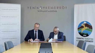 Taşınan zeytin ağaçlarını TTKD izleyecek