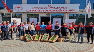 Tekirdağda genç çiftçilere fide dağıtımı yapıldı