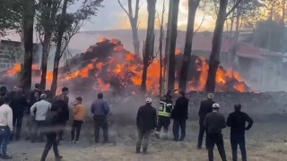 Tekmanda korkutan ot yangını
