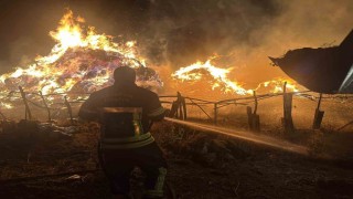 Tekmanda yangın; 2 bin 500 balya ot kül oldu