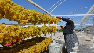 Tel sergiyle üzüm 1 numara yükseliyor