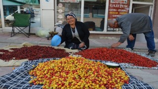 Tercan dağlarında yetişen yaban meyveleri pazar tezgahlarını süslüyor