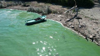 Terkos Gölünde endişelendiren görüntü