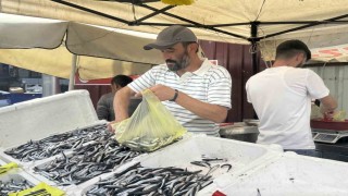 Tezgahlarda hamsi bolluğu