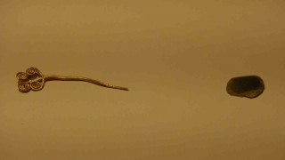 Troyada 4 bin 500 yıllık altın broş ve yeşim taşı bulundu