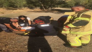 Tuncelide trafik kazası: 5 yaralı