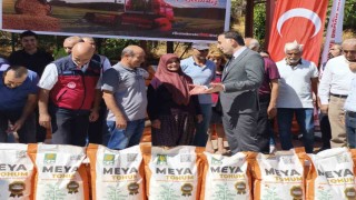 Tuncelide üreticilere mercimek tohumu dağıtıldı