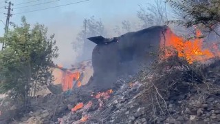 Tuncelide yangın: Evler ve ağaçlık alan alevlere teslim oldu