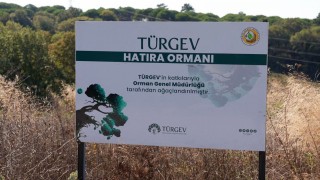 TÜRGEVin beş yılda 20 bin 615 fidanla yeşerttiği ‘Hatıra Ormanı geleceğe umut olacak