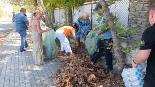 Turistler yangın sonrası otel çevresindeki kurumuş ot ve yaprakları temizledi