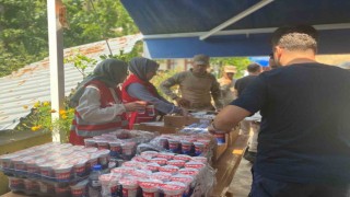 Türk Kızılayından yangın bölgesine destek