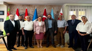 Türkiye ile Guatemala arasında sağlık ve inovasyon odaklı yeni iş birliği vizyonu