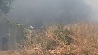 Türkiye-İran sınırında yangın: Vatandaşlar müdahale etti