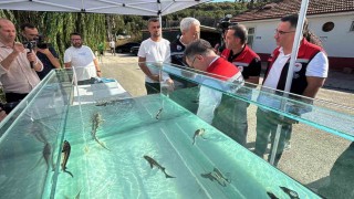 Türkiyeden dünya sofralarına siyah havyar: Gramı 1 eurodan satılıyor