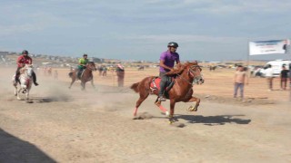 Türkiyenin şampiyon atları Menemende yarıştı