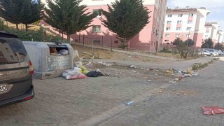 Tuşbada yol ve çöp sorunu vatandaşları bıktırdı