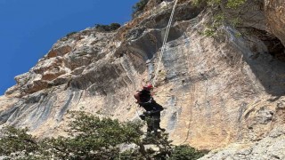 Uçurumda mahsur kalan keçi, itfaiye ekiplerince kurtarıldı