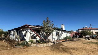 Uladaki yangında 3 hayvan telef oldu