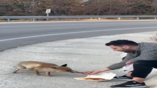 Uludağ yolunda sıra dışı karşılaşma