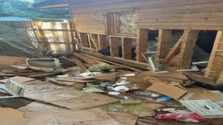 Uludağda ayılar barakalara girdi, ortalık darmadağın oldu