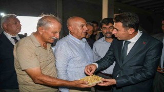 Ulukale Dut Tesisinde üretim kapasitesi artırılıyor