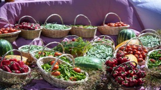 Uluslararası Çubuk Turşu ve Kültür Festivali başladı