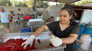 Üniversite mezunu genç kadın, köyünde üretim merkezi kurdu