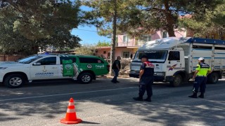 Uşakta canlı hayvan nakil araçlarına denetim