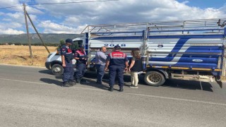 Uşakta canlı hayvan nakil araçlarına yönelik denetimler sürüyor