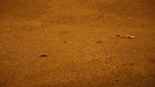 Uuzun namlulu silahla galeriyi taradılar: 10dan fazla mermi isabet etti