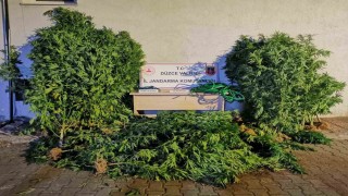 Uyuşturucudan 6 kişi tutuklandı, 44 şahıs hakkında işlem yapıldı