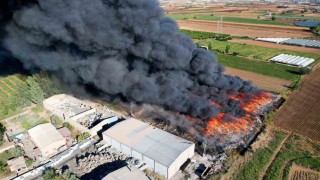 Uzmanı uyardı: Hava kirliliği meme kanserini arttırıyor