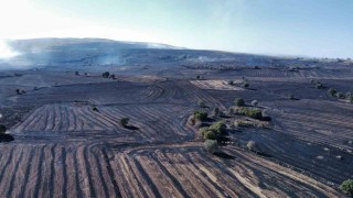 Uzmanı uyardı: Orman yangınlarına karşı topraktaki nem kapasitesini arttırmalıyız