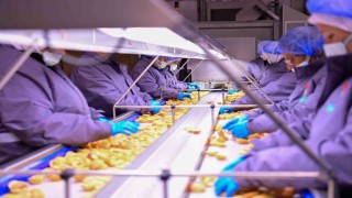 Vali Canbolat, Köşkte gıda tesisini inceledi