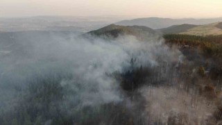 Vali Taşolardan orman yangınını ihbar eden çocuğa teşekkür