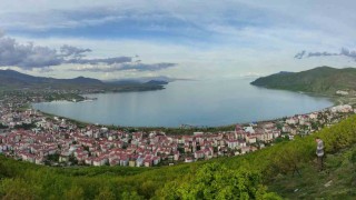 Van Gölünde çekilme ve kirlilik alarmı: Önlem alınmazsa ekosistem tehdit altında