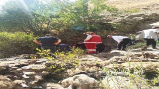 Vanda 334 koyun uçurumdan düşerek telef oldu