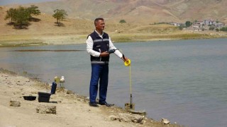 Vanda kuraklığın balıkçılığa etkisi araştırılıyor