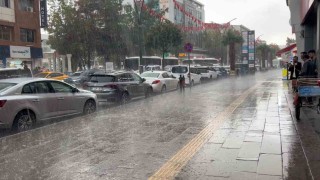 Vanda sağanak yağış