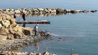 Vanda vektörle mücadele seferberliği