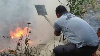 Yangını söndürmek içi devlet-millet seferber oldu