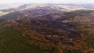 Yangının etkili olduğu alanlar dron ile görüntülendi