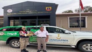 Yaralı Şahine jandarmadan şefkat eli